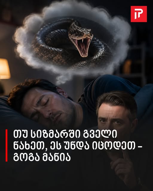 თუ სიზმარში გველი ნახეთ, ეს უნდა იცოდეთ – გოგა მანია
